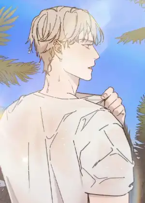海岛冤家